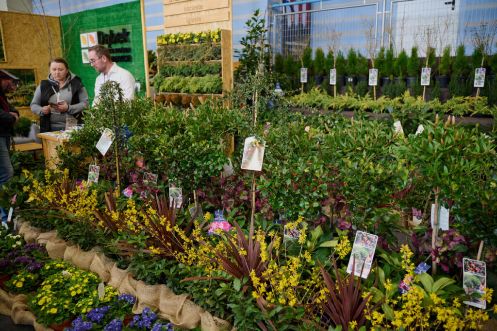 MTR_2025 (40)