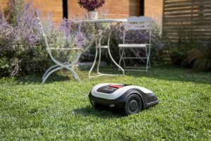 robot_koszacy_Honda_Miimo_40(5)
