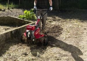 Pielęgnacja ogorodu jesienią