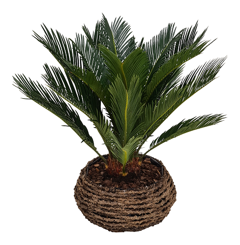 8717929899586-P-006-3296345