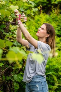 garden_ogrod_dzialkowy_maj_2024_fullsize_20