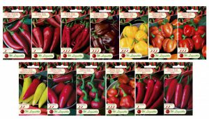 7. LEGUTKO PAPRYKI ZDJECIE