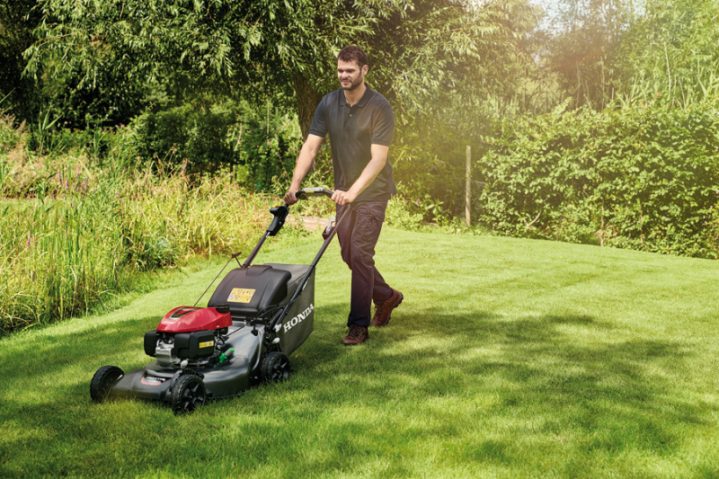 sesja_biedrzycki_WD28