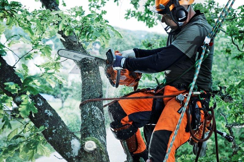 Najlepsza pilarka dla arborystów Najlepsza pilarka dla arborystów
