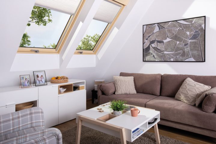 Zdj.1. FTP-V GREENVIEW_24 (www)