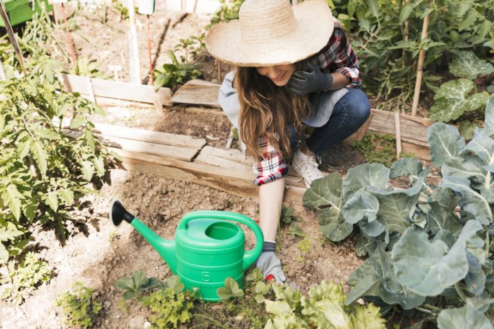 overhead-view-smiling-female-holding-grown-fresh-strawberry-plant-garden