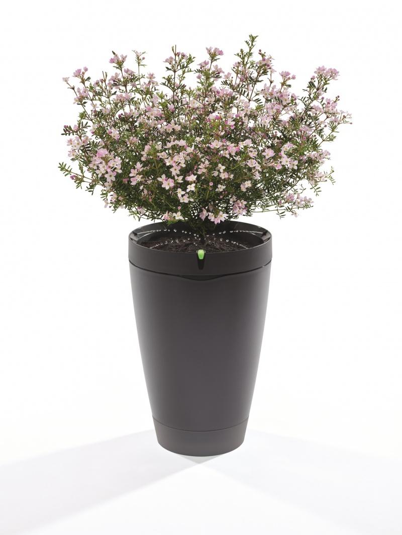 Parrot Pot. Inteligentna doniczka podleje kwiaty za Ciebie! Parrot Pot. Inteligentna doniczka podleje kwiaty za Ciebie!