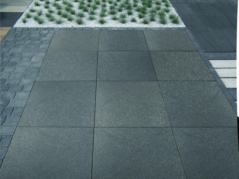 Fot. Maxima lumino 2