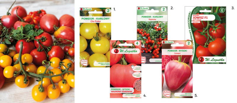 pomodory-02 (1)