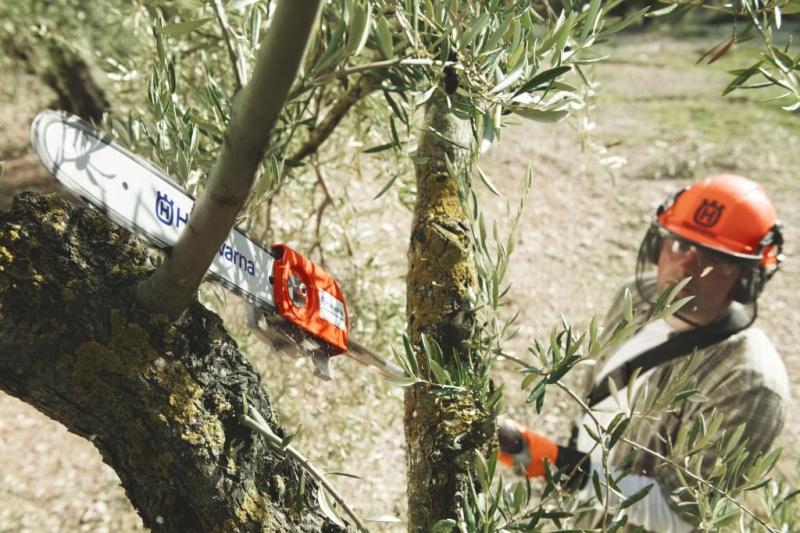 Sięgaj po więcej z pilarką na wysięgniku Sięgaj po więcej z pilarką na wysięgniku