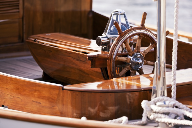 Stare drzewo i morze Keel and Compass. Color Image