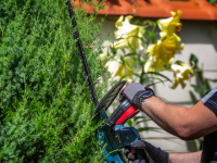 nozyce-do-zywoplotu-aku-4